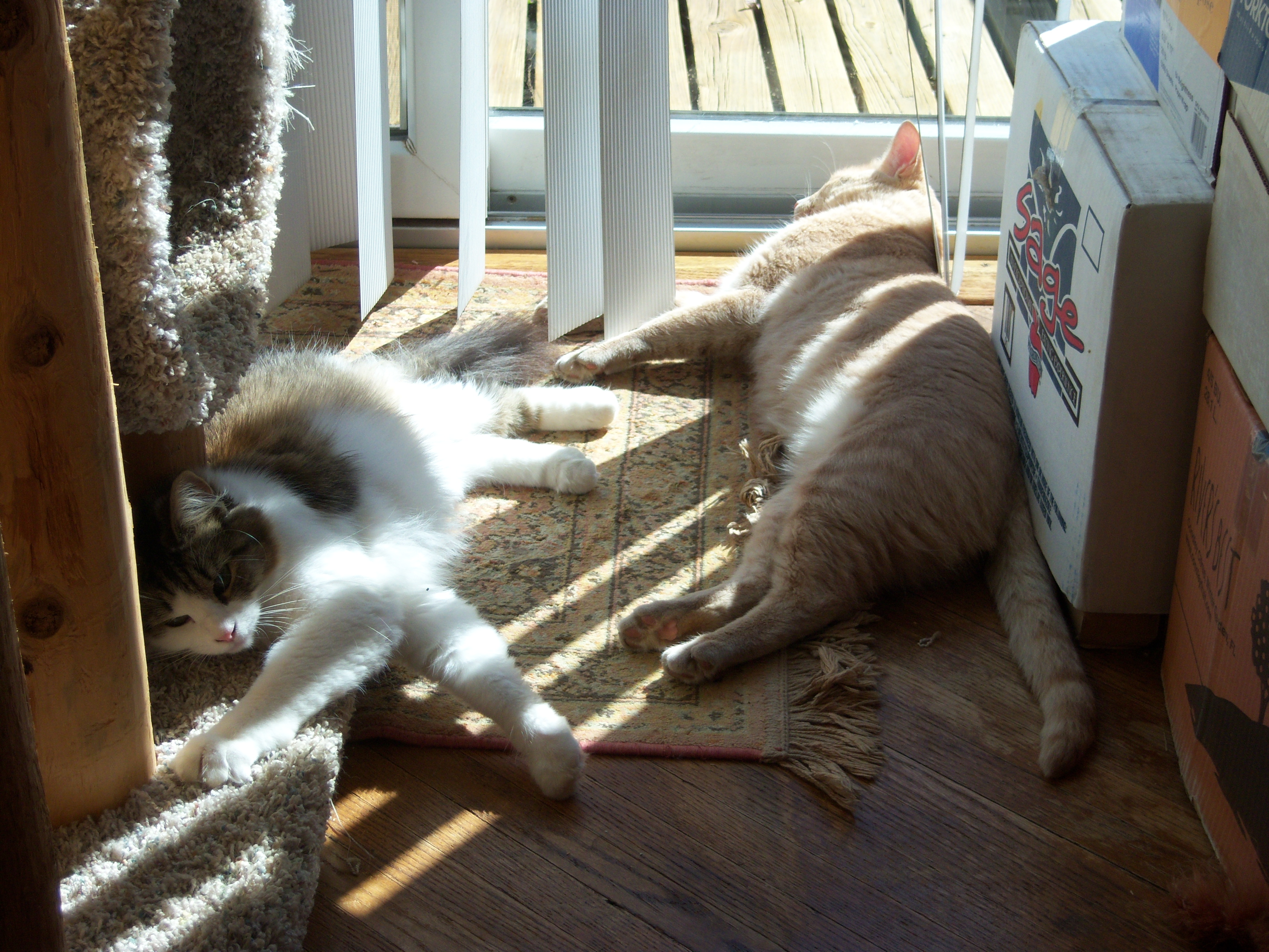 Bella & Simon in the sun